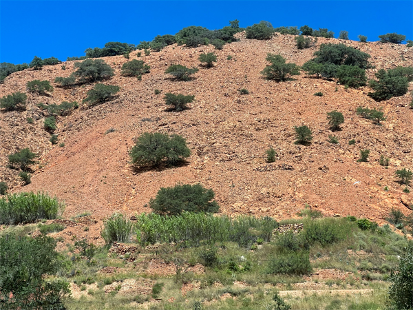 mountain in Bisbee
