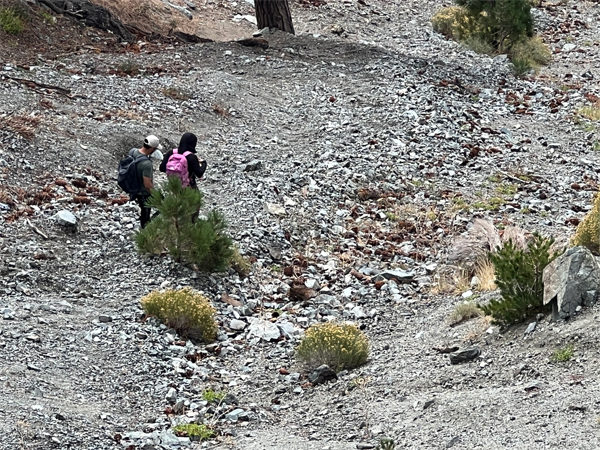 Two People walking down the mountain 