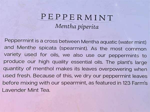 peppermint sign