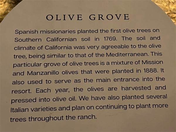 Olive Grove sign
