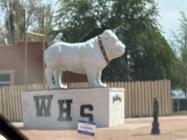 WHS Bulldog