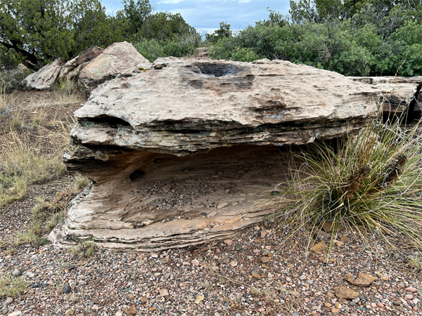 an interesting big rock on the trail