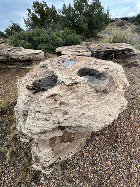 an interesting big rock on the trail