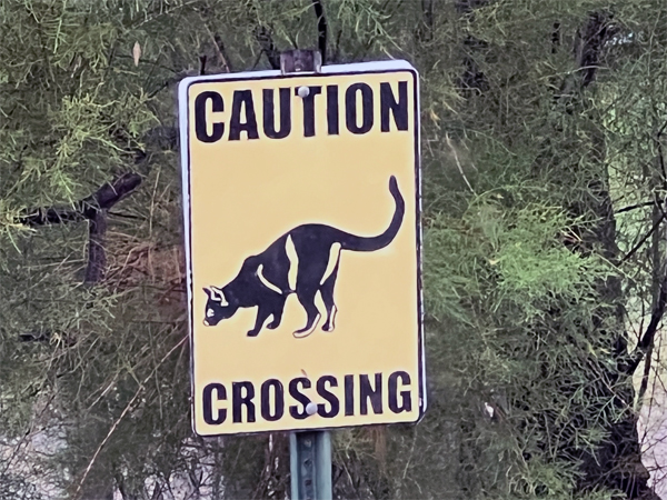 caution wildlife crossing sign