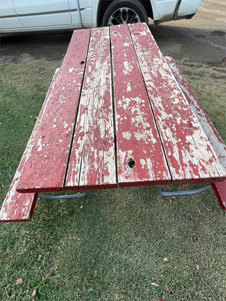 rotten picnic table