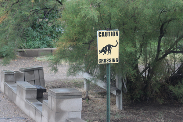 wildlife crossing sign