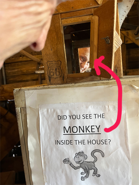 Lee Duquette saw the monkey