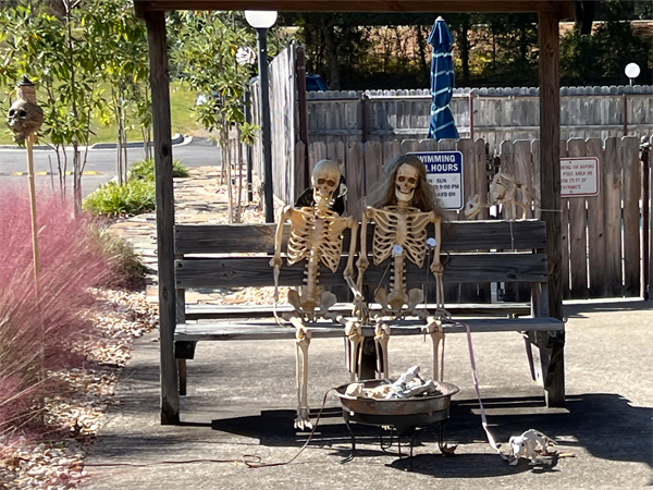 skeletons and a dog and baby