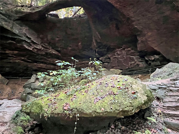 The arch, a moss covered rock and saircase