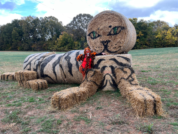 Karen Duquette the tiger and a tiger bale