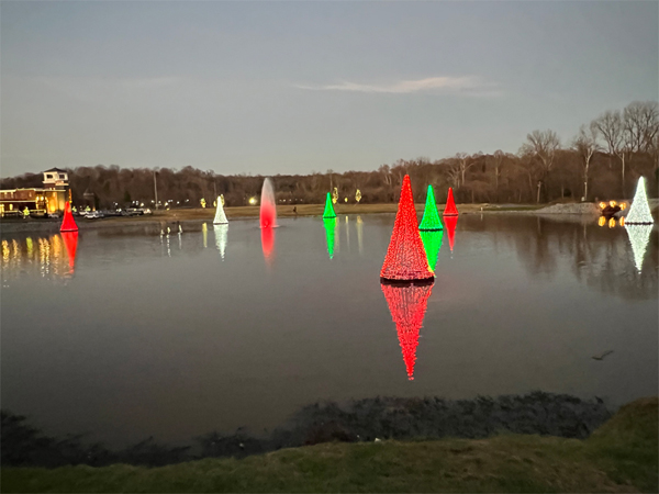 Brightly colored Christmas lights on floating trees