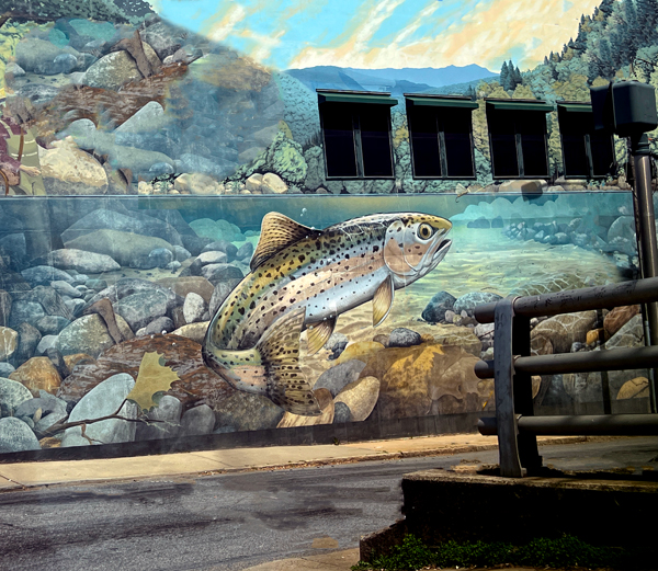 fish mural on a building