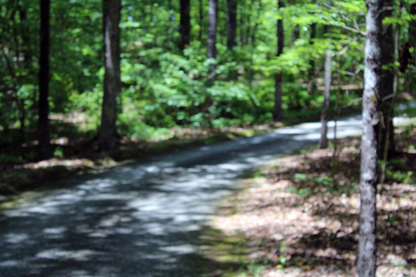 entry road to Keowee-Toxaway State Park