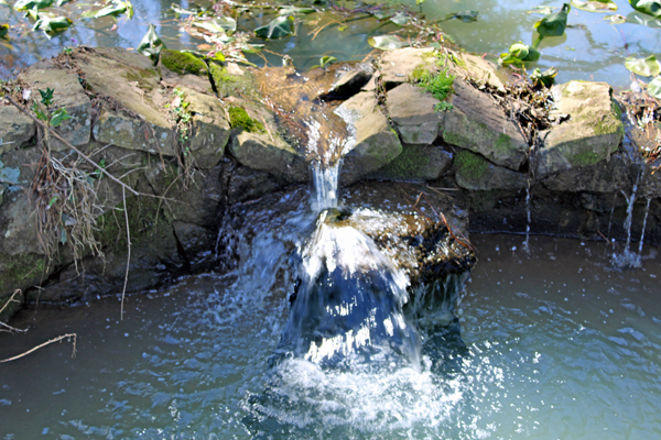 small pond and water fall