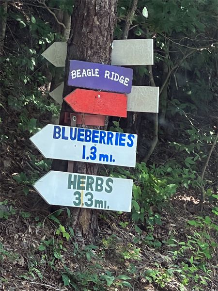 Beagle Ridge sign