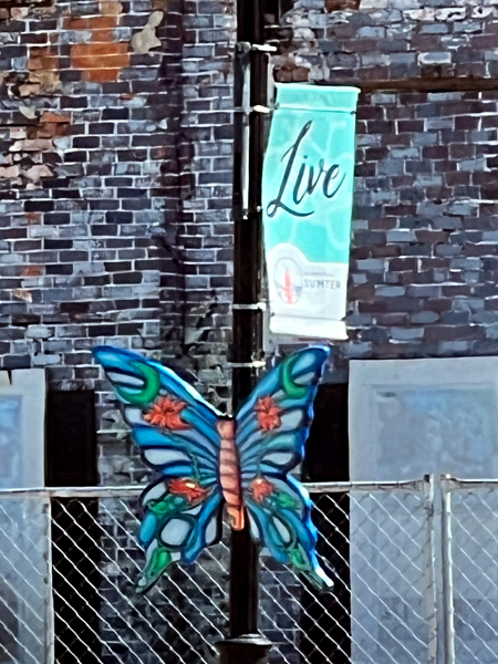 Butterly art and alive flag