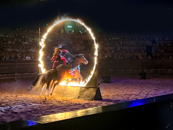 horse jumping through a fire hoop