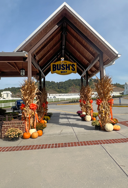 pumpkin display at Bush's