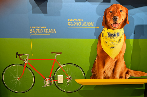 bike and dog weight in beans