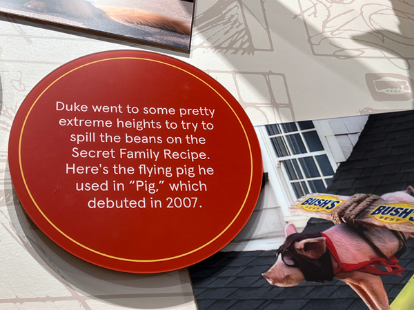 sign about Duke and the flying pig