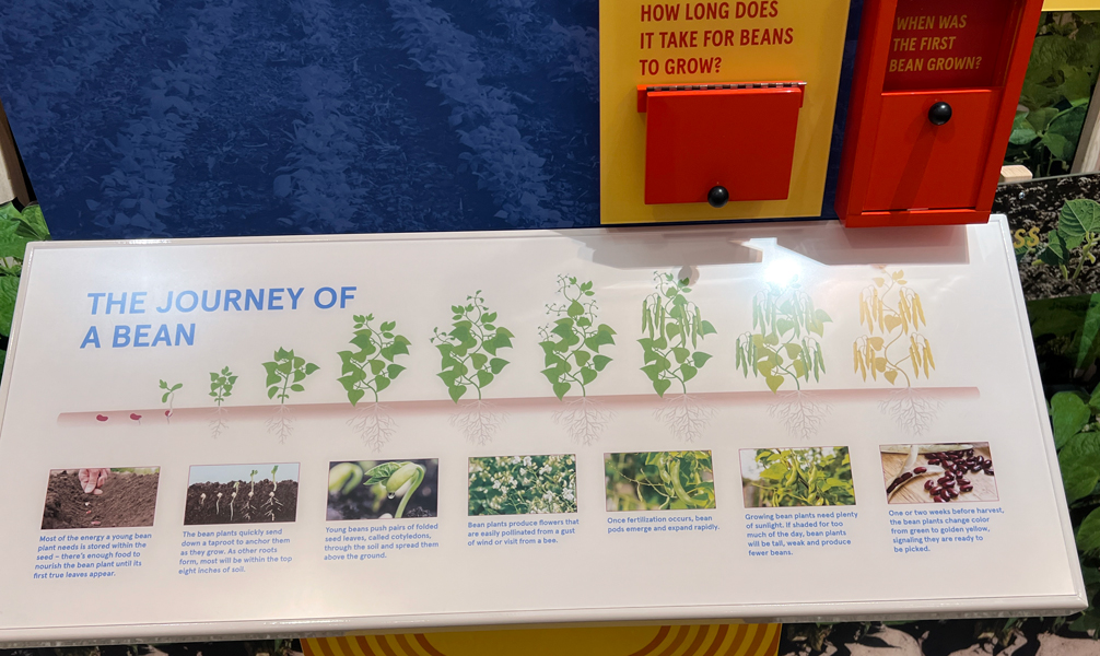sign about the journey of a bean