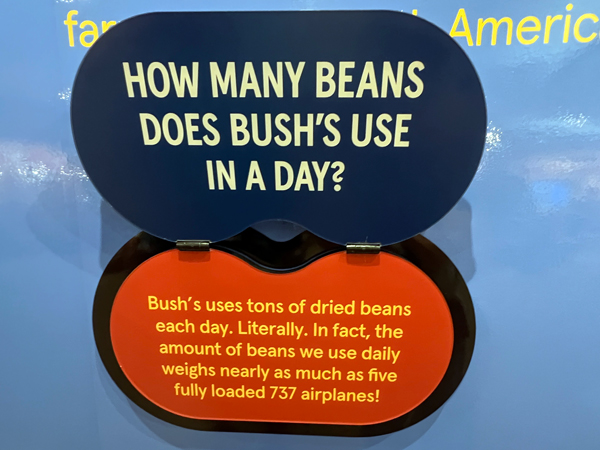 bean information
