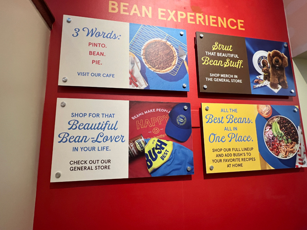 bean experience sign