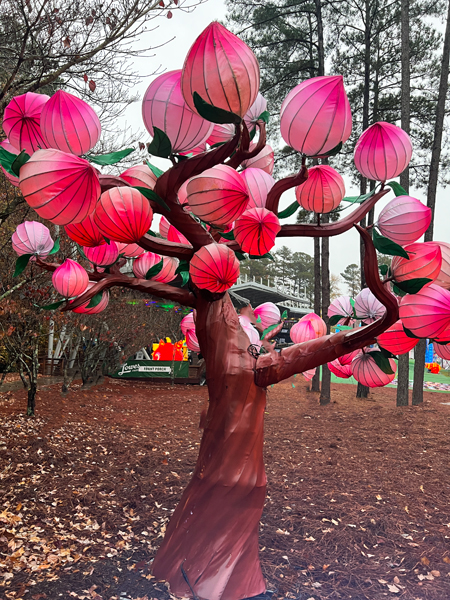 colorful tree that changes colors