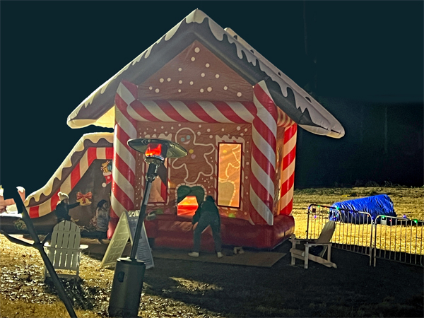 candy cane house and slide