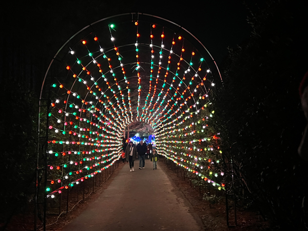 The amazing and ever-changing Tunnel of Lights