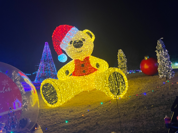 giant teddy bear in lights