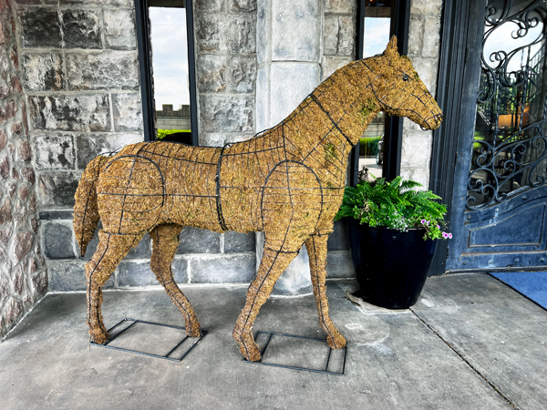 a big horse planter waiting to bloom