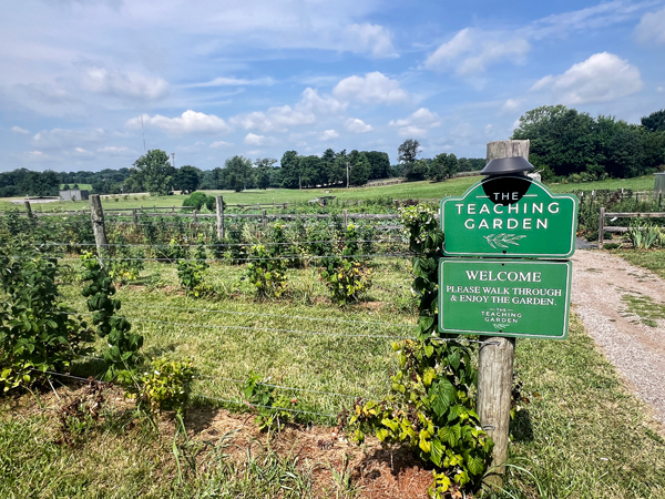 the Teaching Garden