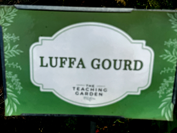 Luffa Gourd sign