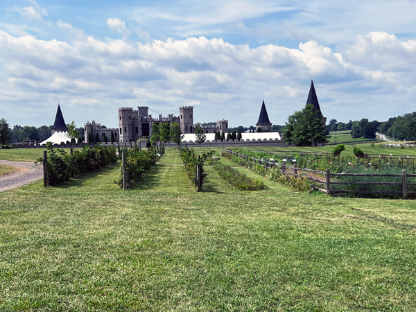 The Kentucky Castle