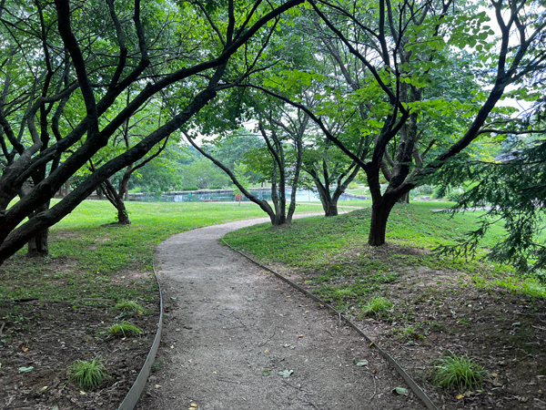 A peaceful walkway to the pond