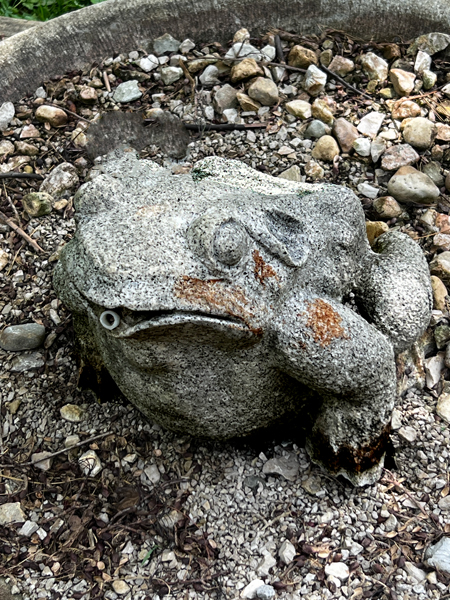 stone frog