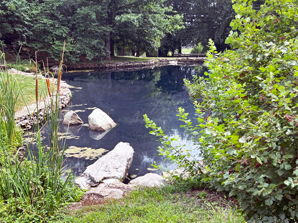 pond