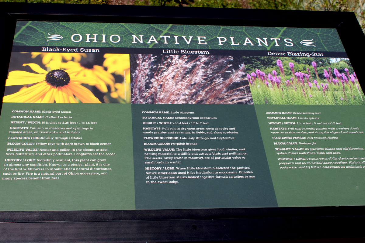 sign about Ohio Native Plants