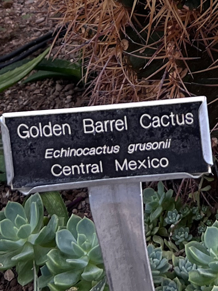 Golden Barrel Cactus sign