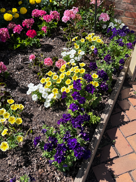 Flower garden at Kingwood Center Gardens