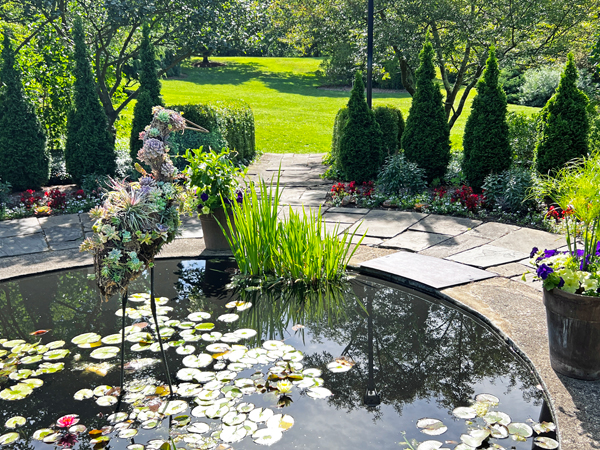 The Formal Garden Pond 