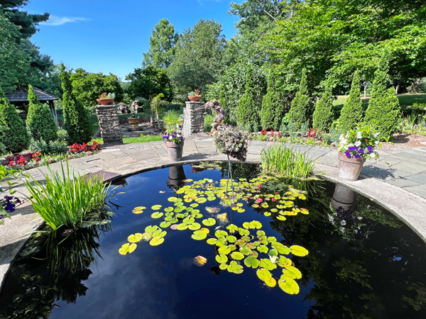 The Formal Garden Pond 