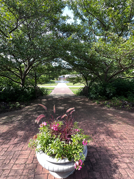 walkway to the duck pond