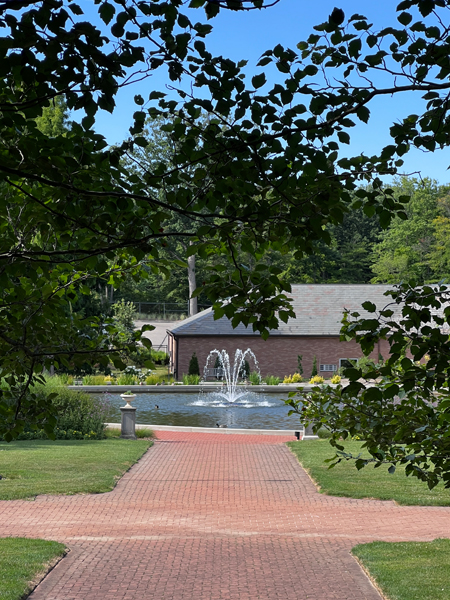 water fountain at the du;ck pond