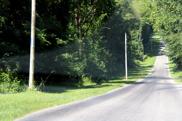 roadway to the Ohio Bird Sanctuary