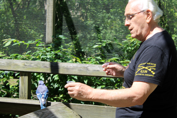 Lee Duquette feeding the Blue Jay