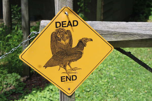 Dead End sign and vultures