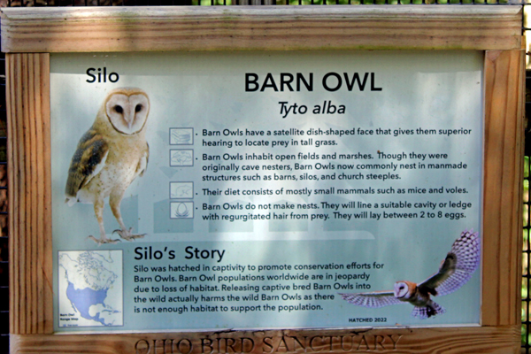 Barn Owl sign and Silo;s story