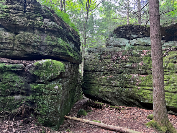 Bilger's Rocks